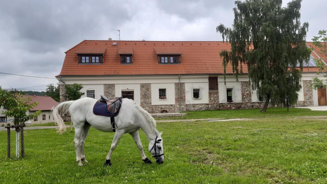 Korn-Hof Aparthotel Kornatice Luaran gambar