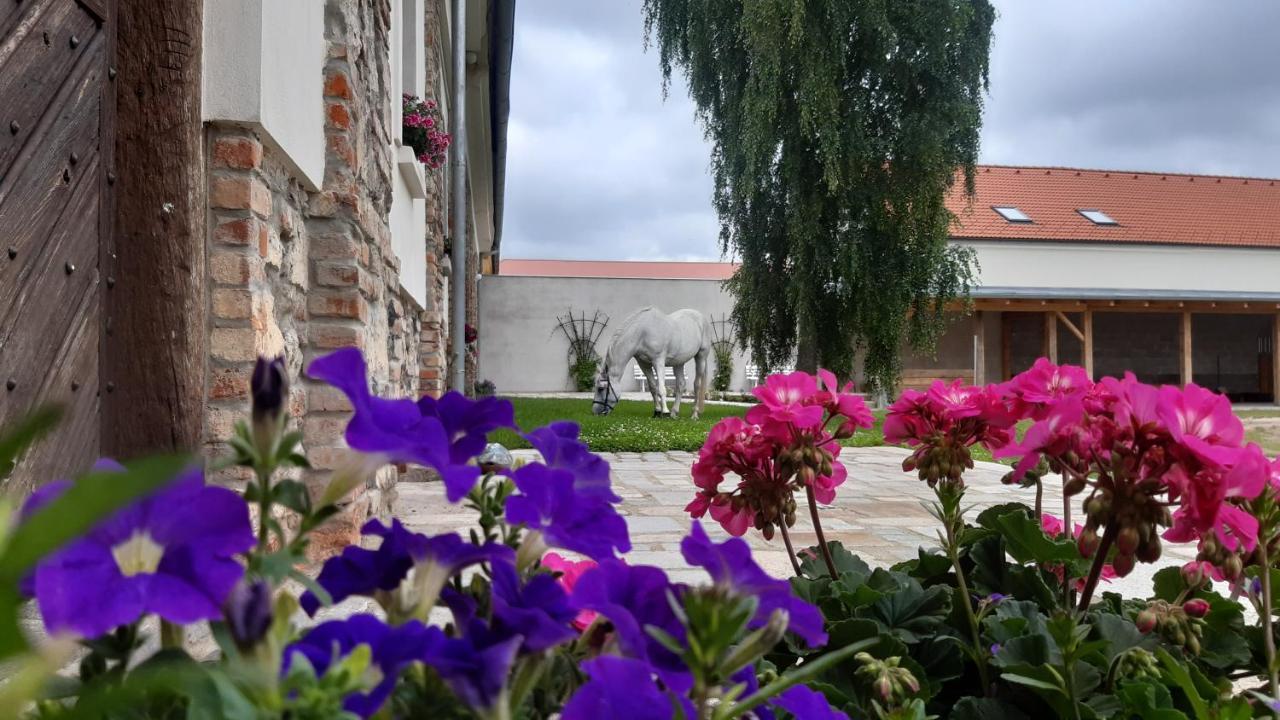 Korn-Hof Aparthotel Kornatice Luaran gambar